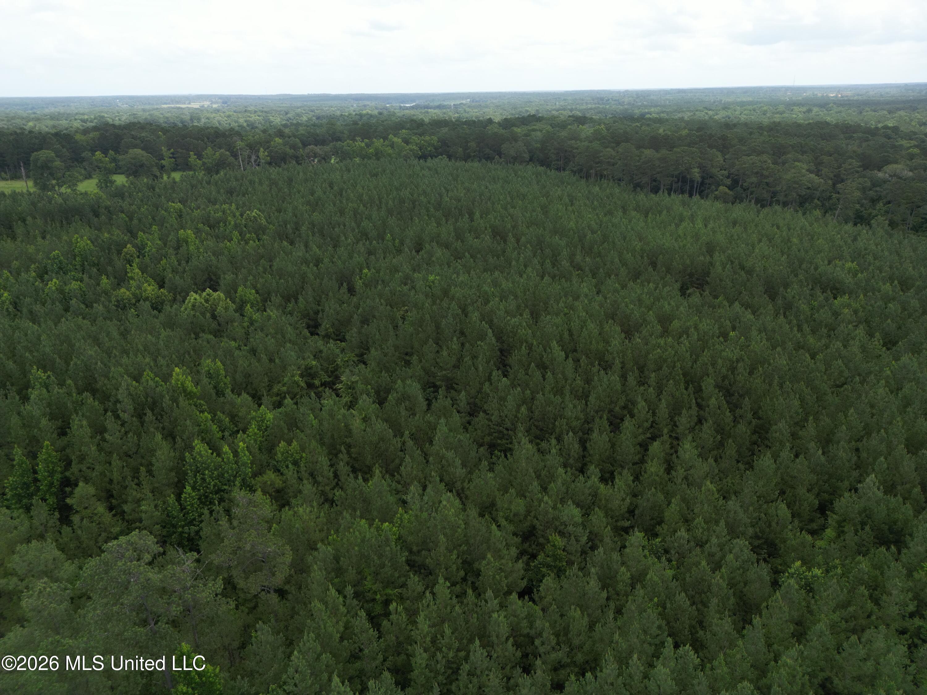 Summit Holmesville Road McComb, MS 39648 - Photo 25 of 29 DJI_0634