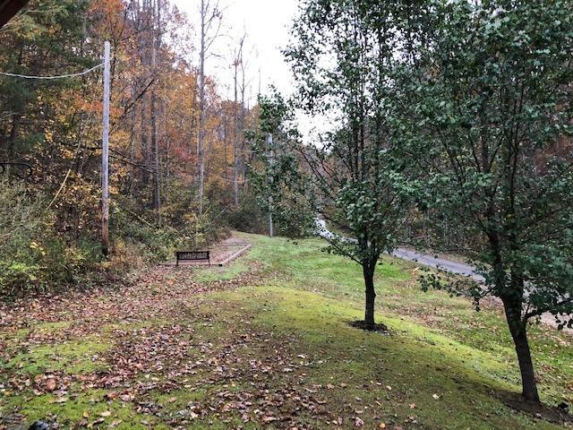 77 Slab Camp Road Frenchburg, KY 40322 - Photo 56 of 58 Photo 56