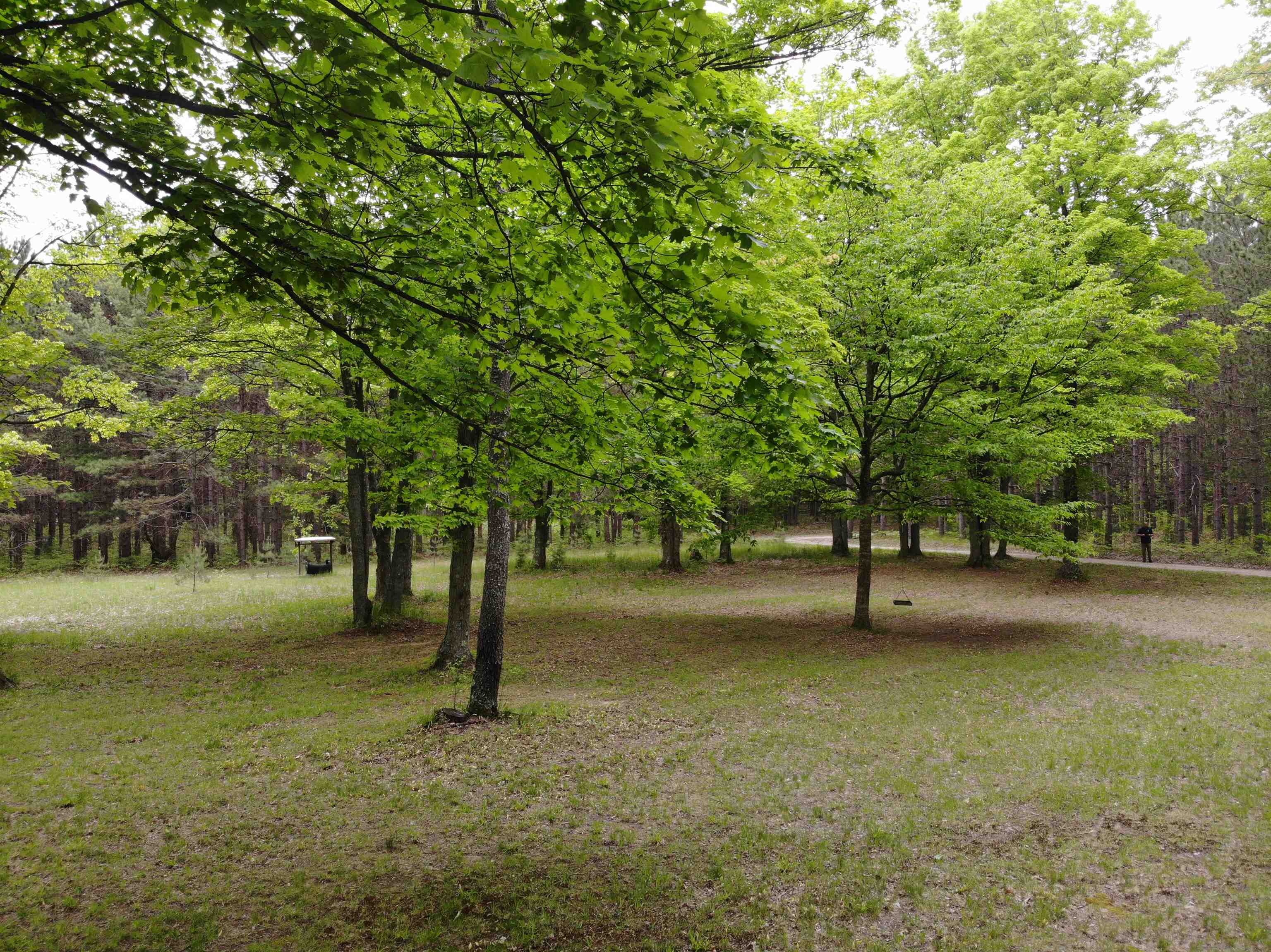 135 Montgomery Road Southwest South Boardman, MI 49680 - Photo 40 of 59