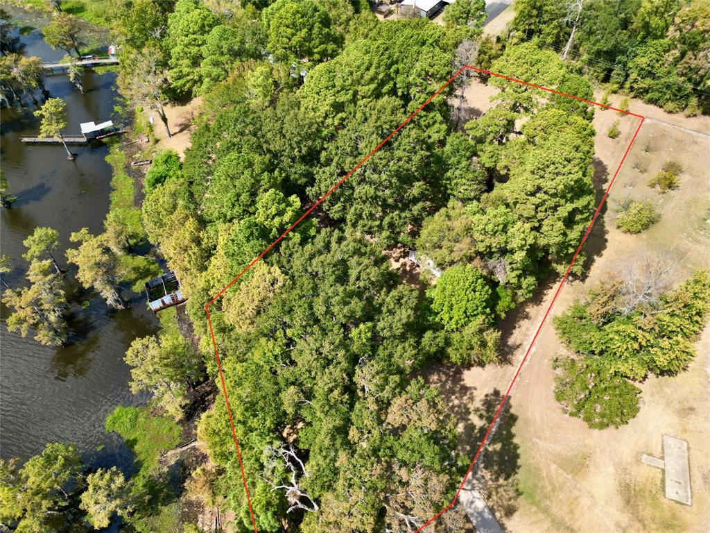 15585 Rudd Road Ida, LA 71044 - Photo 8 of 27 Expansive property featuring dense mature trees and a substantial water frontage