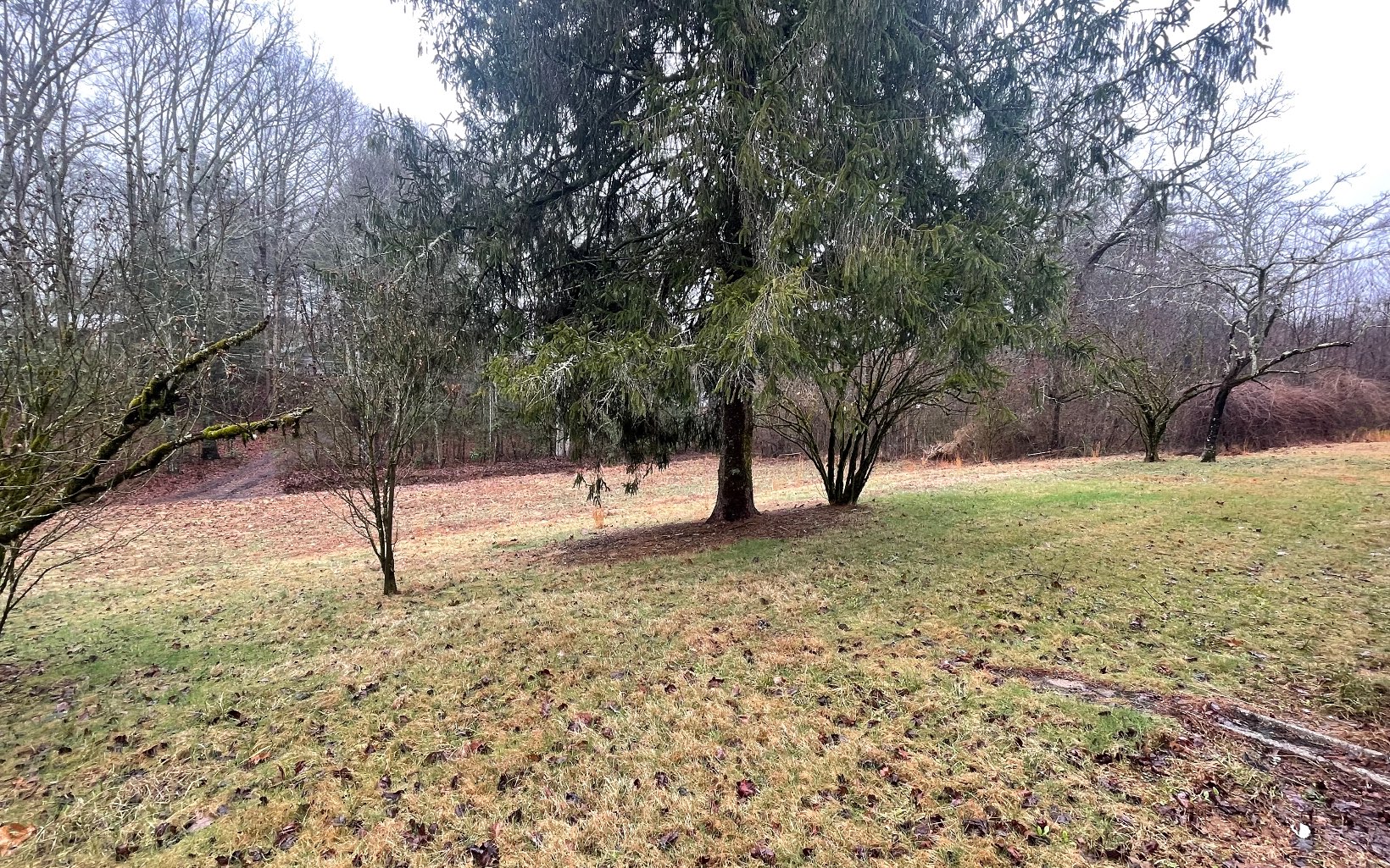 667 Ash Loop Road Blue Ridge, GA 30513 - Photo 46 of 71 Additional View