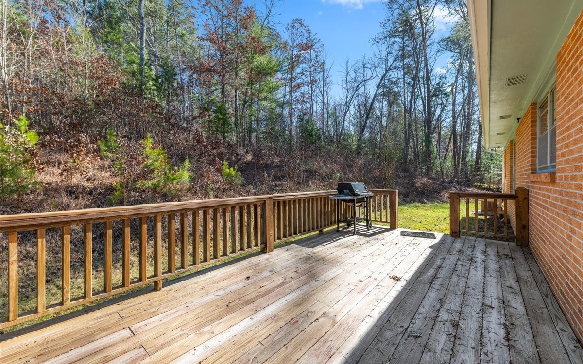 667 Ash Loop Road Blue Ridge, GA 30513 - Photo 55 of 71 Additional View