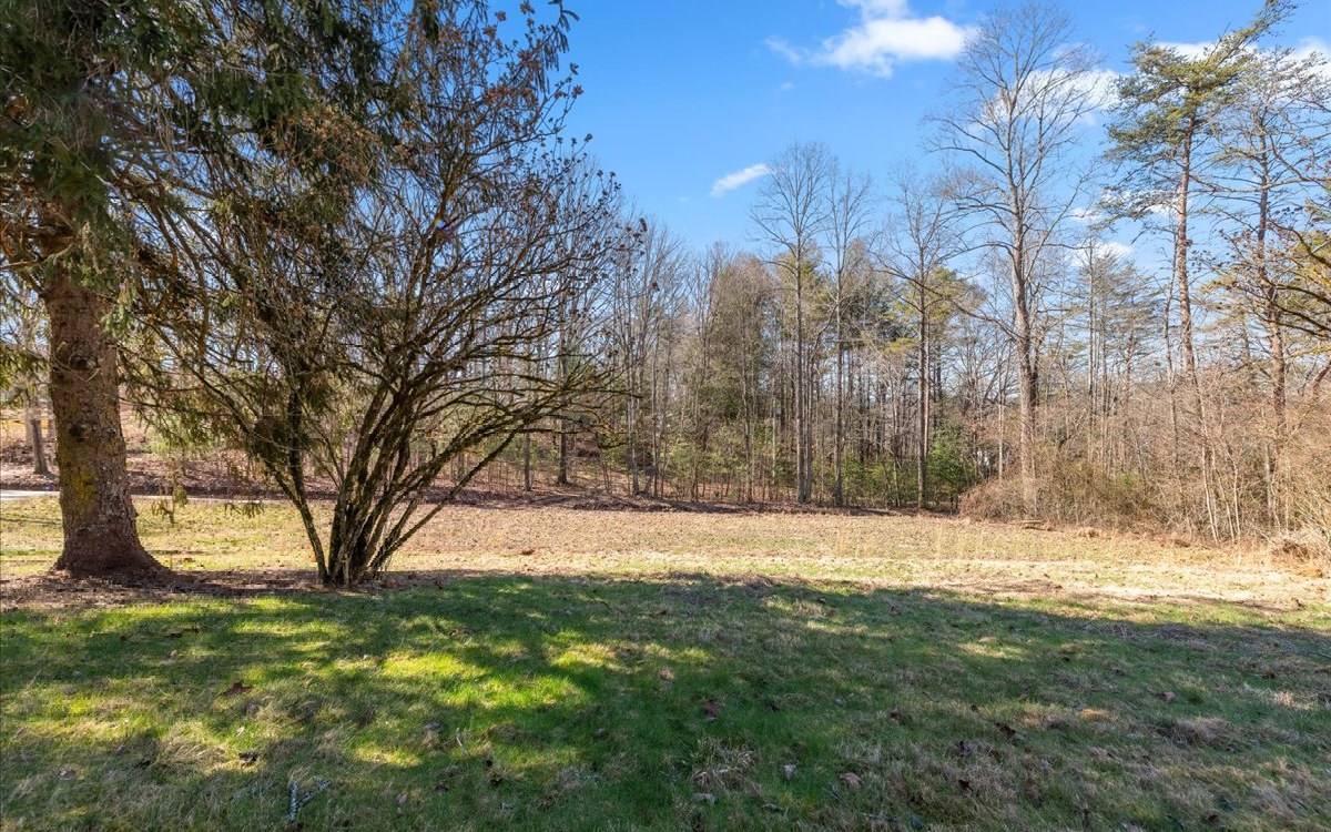 667 Ash Loop Road Blue Ridge, GA 30513 - Photo 6 of 71 Additional View