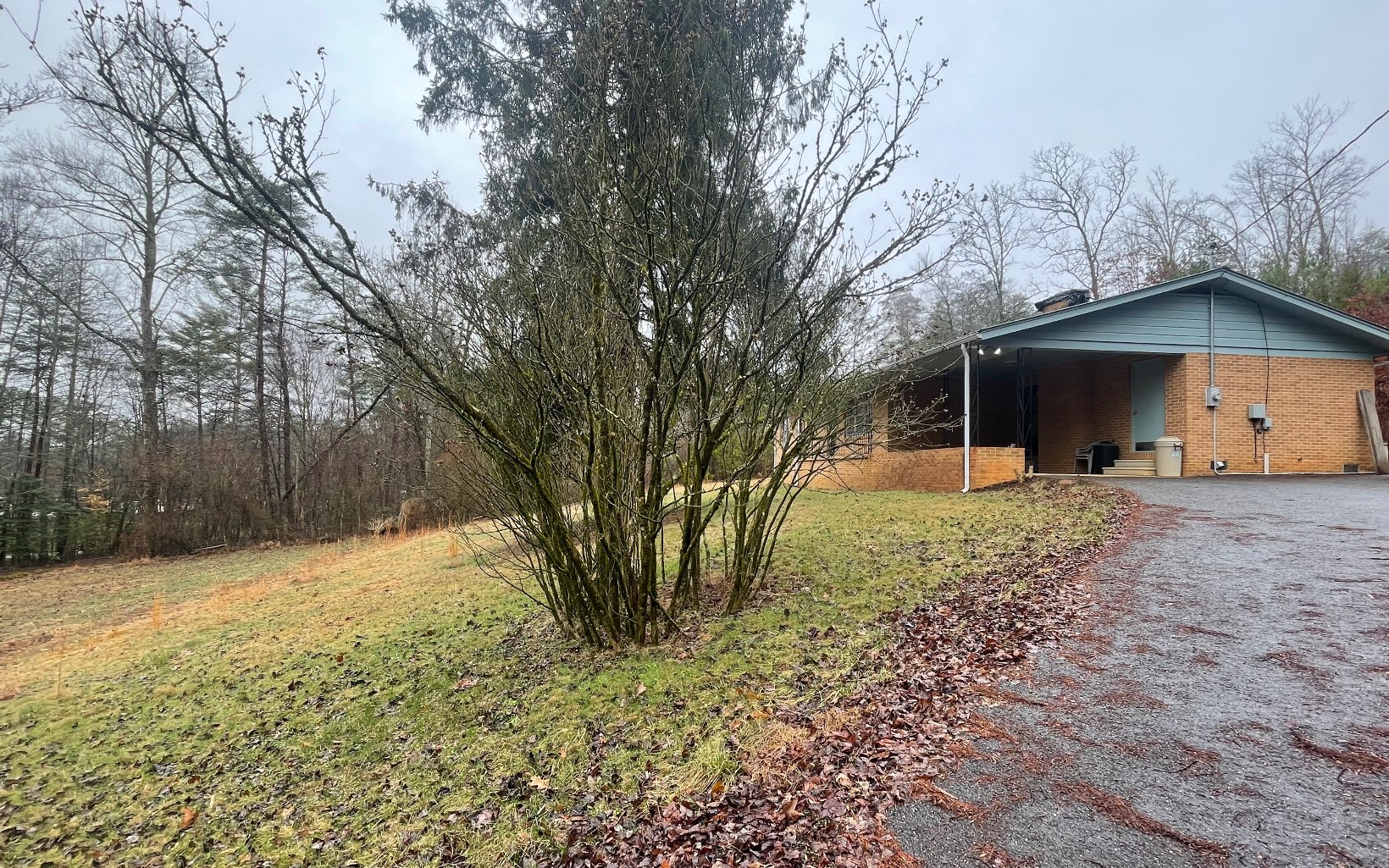 667 Ash Loop Road Blue Ridge, GA 30513 - Photo 61 of 71 Additional View