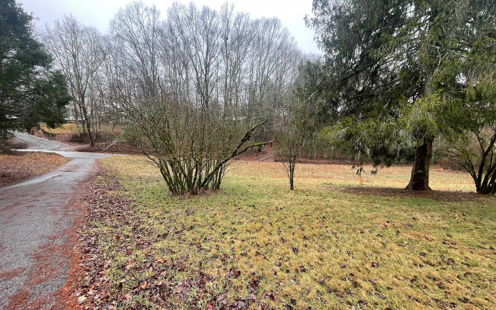 667 Ash Loop Road Blue Ridge, GA 30513 - Photo 63 of 71 Additional View