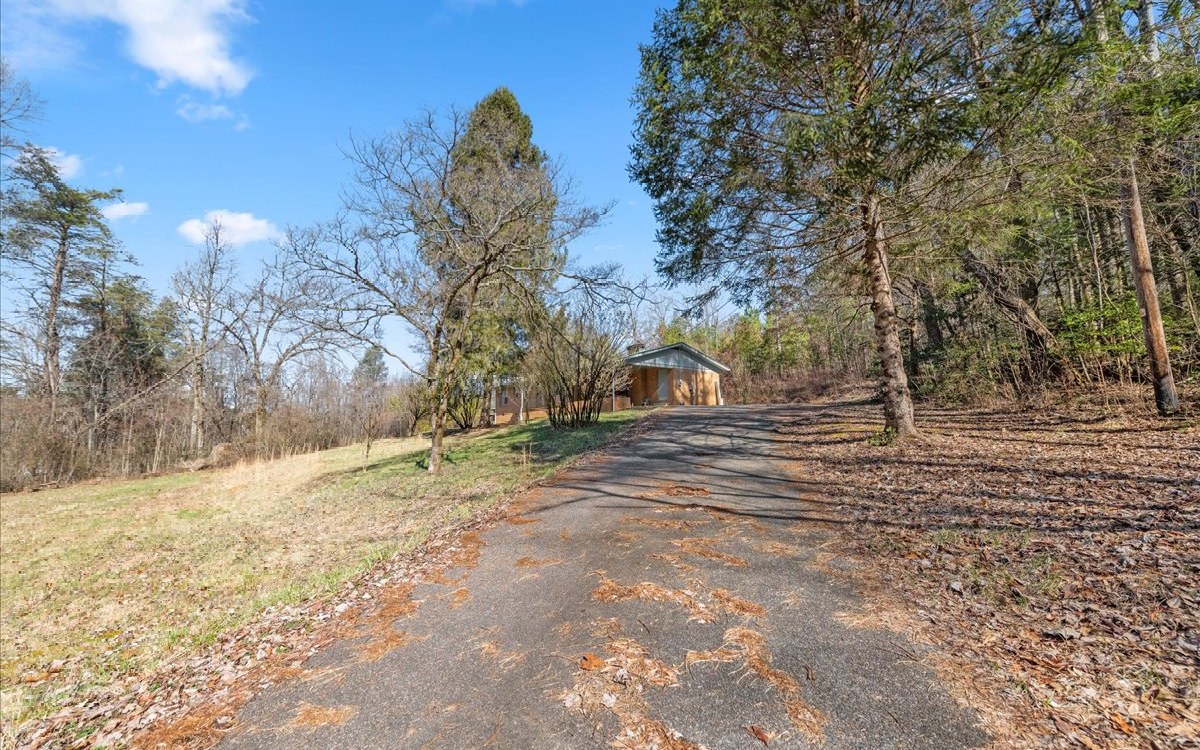 667 Ash Loop Road Blue Ridge, GA 30513 - Photo 65 of 71 Additional View