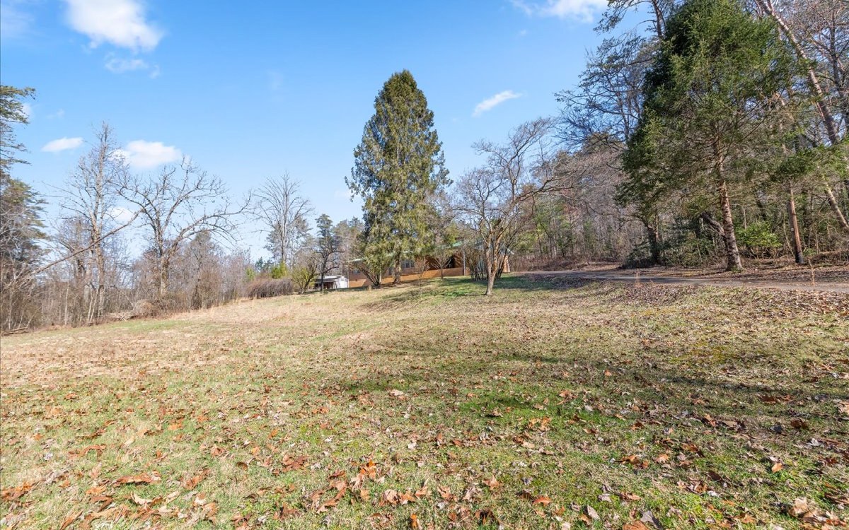 667 Ash Loop Road Blue Ridge, GA 30513 - Photo 67 of 71 Additional View