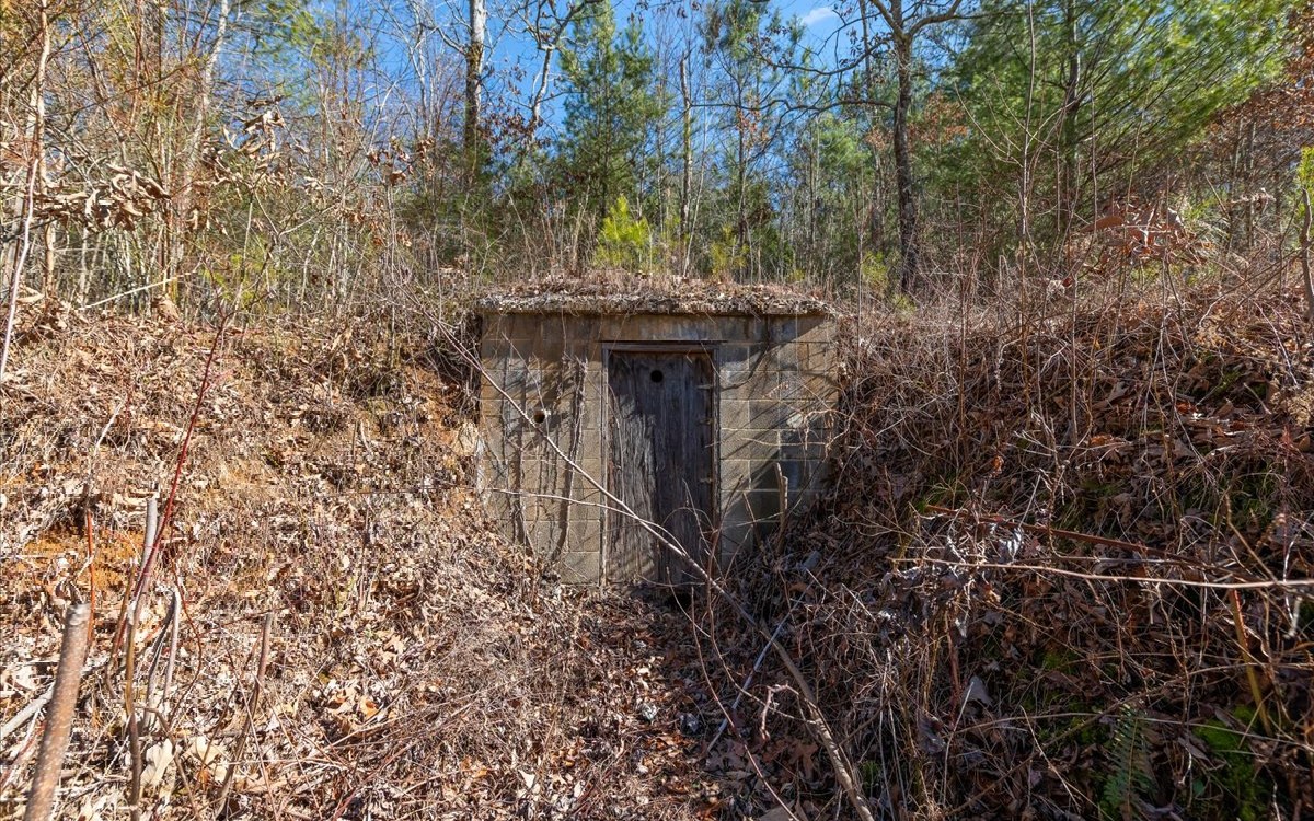 667 Ash Loop Road Blue Ridge, GA 30513 - Photo 70 of 71 Additional View
