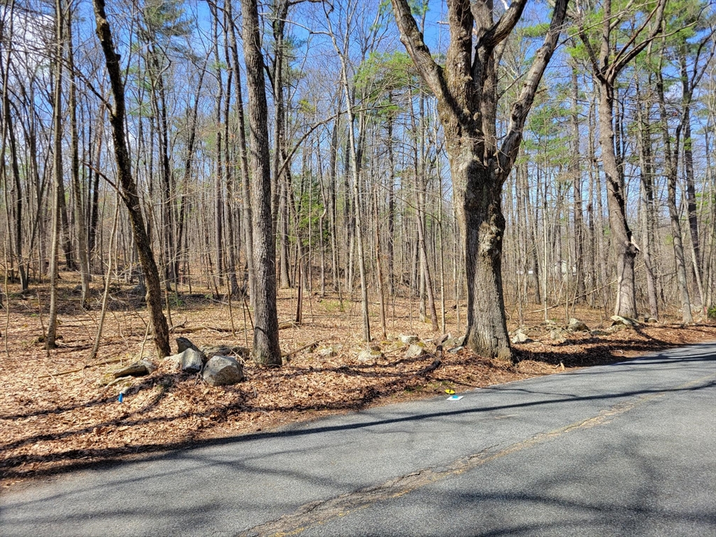 Lot 2 Daniels Road Dudley, MA 01571 - Photo 3 of 3