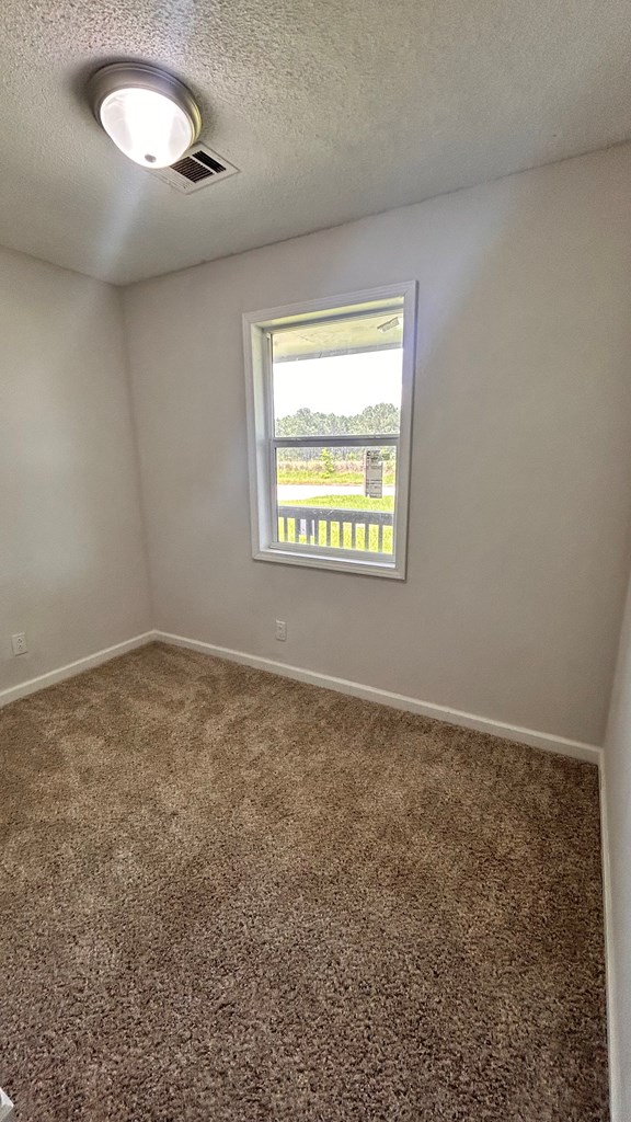 24 Old Mcray Mill Road Clio, AL 36017 - Photo 8 of 13