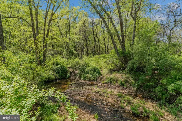 $1,200,000 | 8396 Rixeyville Road, Rixeyville, VA 22737