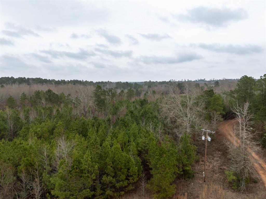 6052 Blocker Road Marshall, TX 75672 - Photo 18 of 22