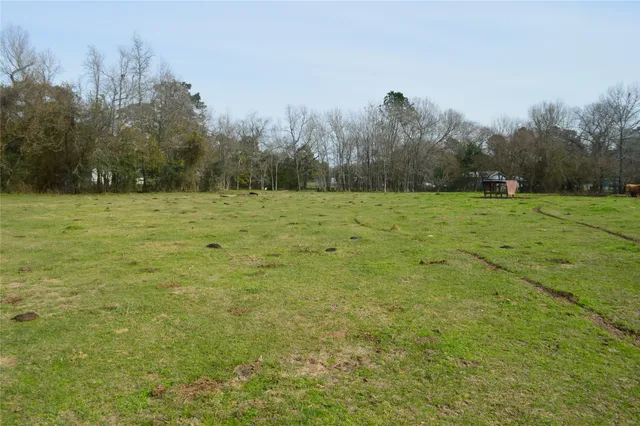 a view of a field with trees in the background