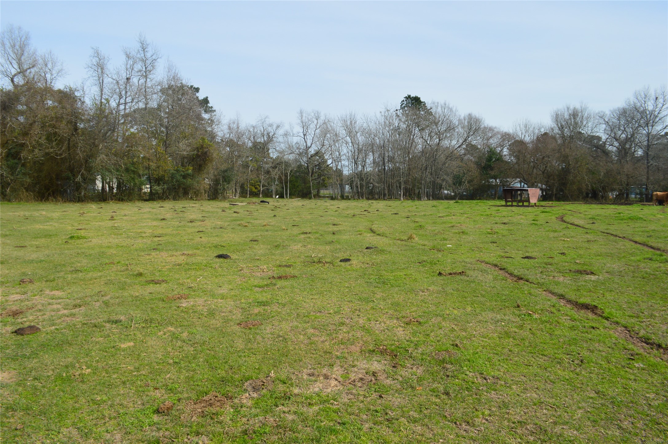 a view of a field with trees in the background