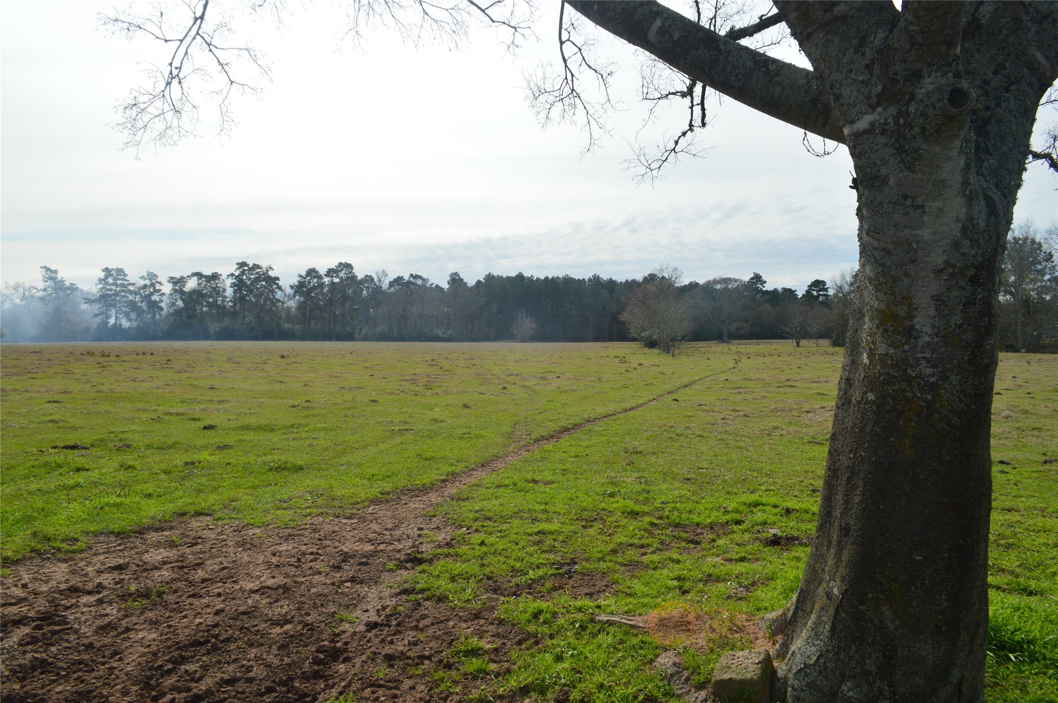 001 Wiggins Conroe, TX 77302 - Photo 2 of 6 a view of lake view and mountain view