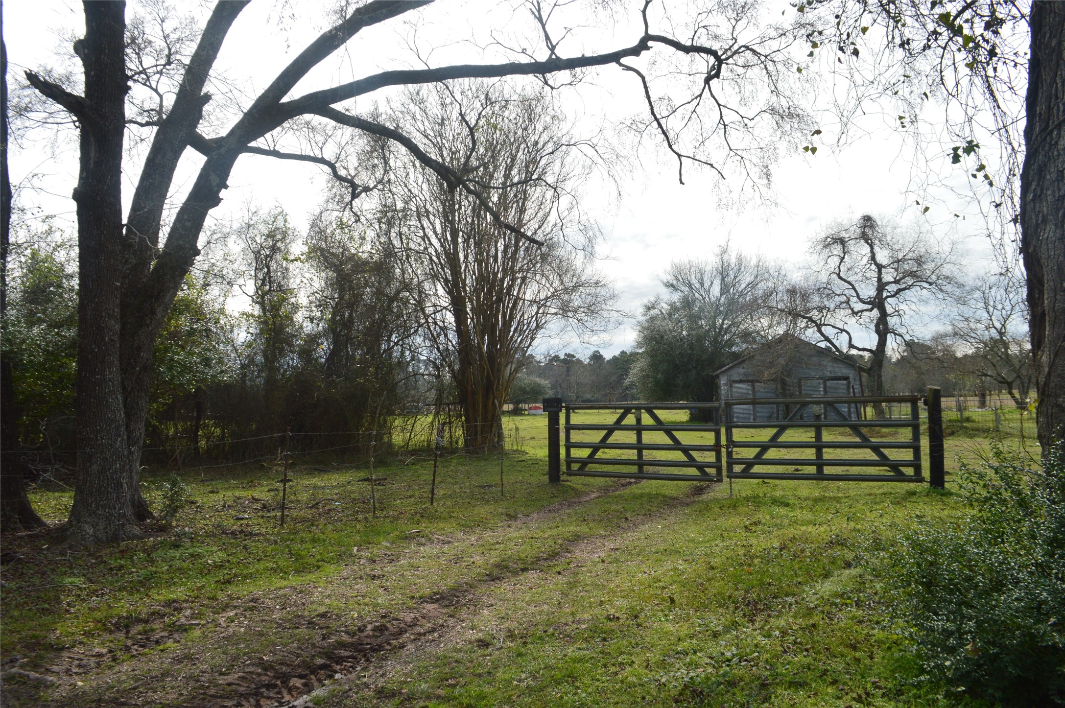 001 Wiggins Conroe, TX 77302 - Photo 4 of 6 a view of park benches sitting below a tree