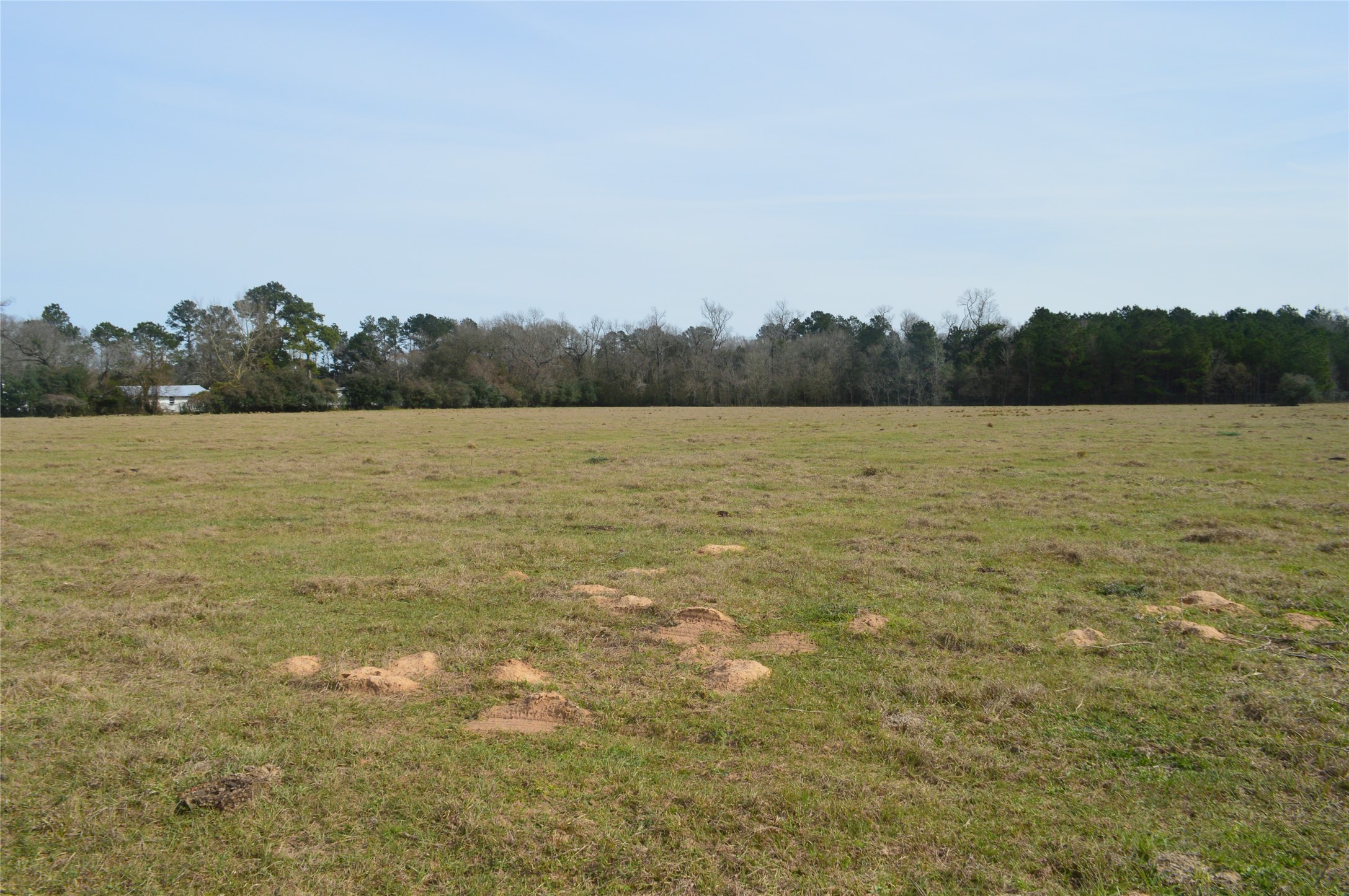 001 Wiggins Conroe, TX 77302 - Photo 6 of 6 a view of an ocean