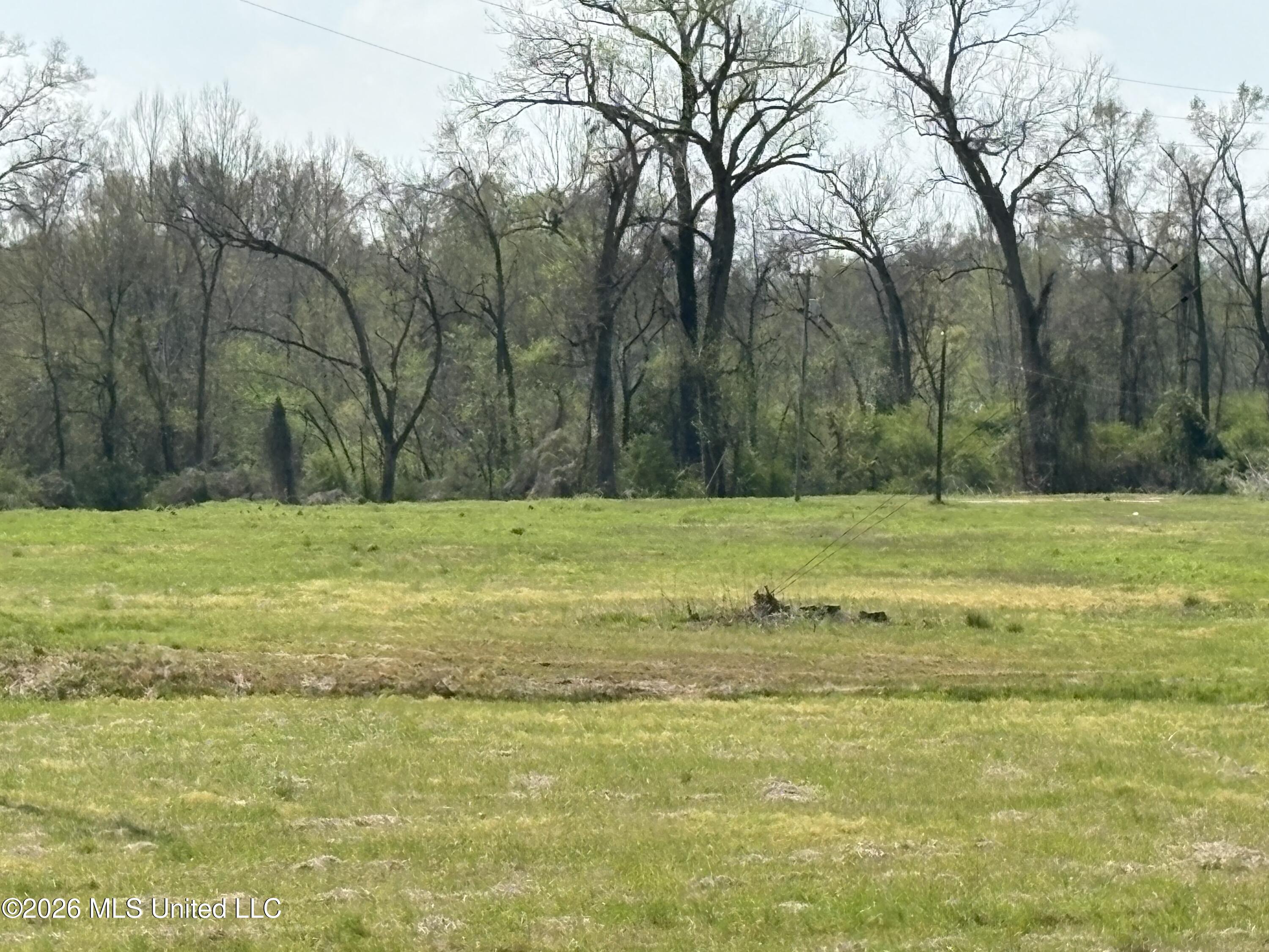 144 Henry Street Lexington, MS 39095 - Photo 4 of 11 IMG_2199