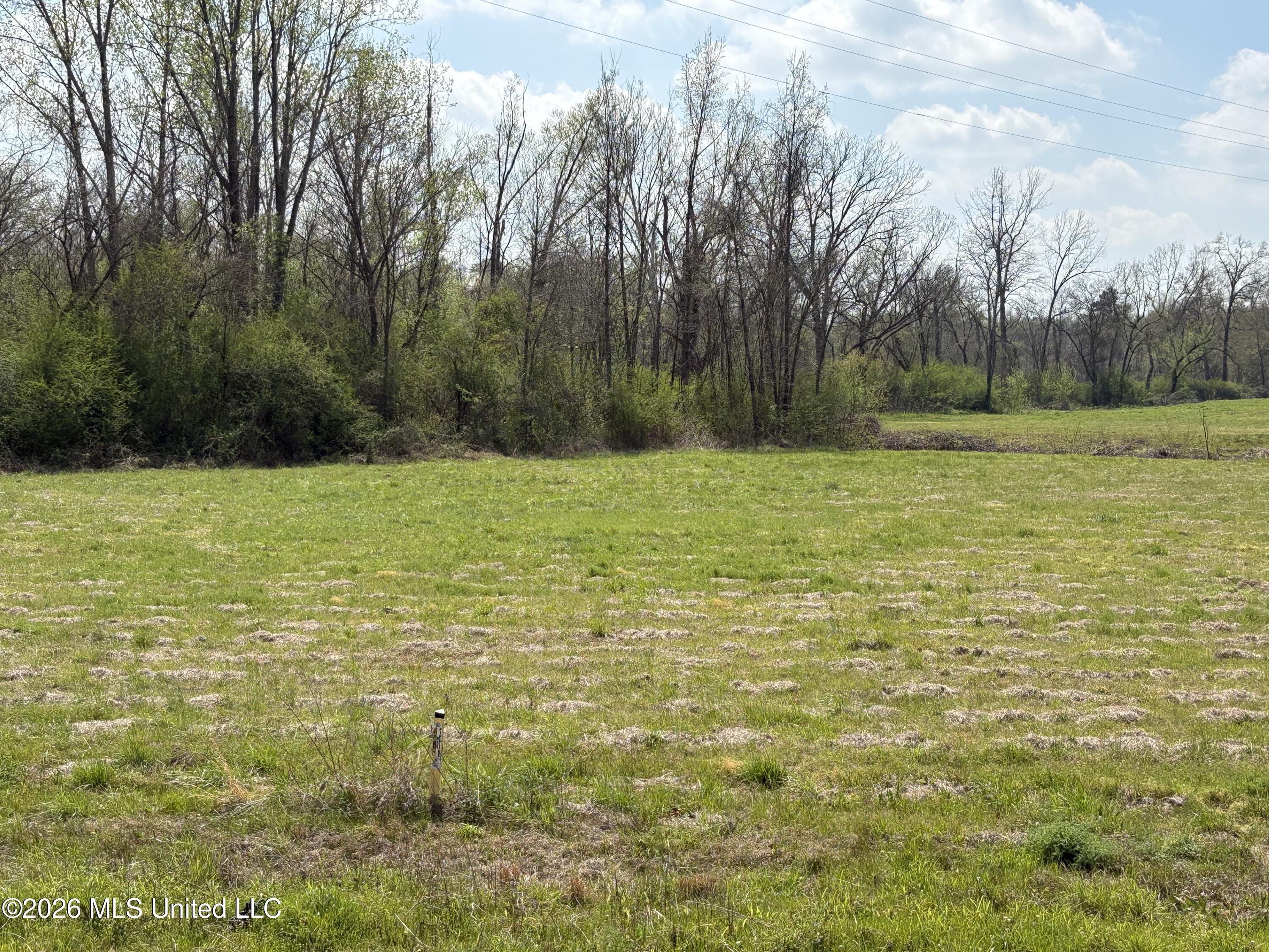 144 Henry Street Lexington, MS 39095 - Photo 8 of 11 IMG_2195