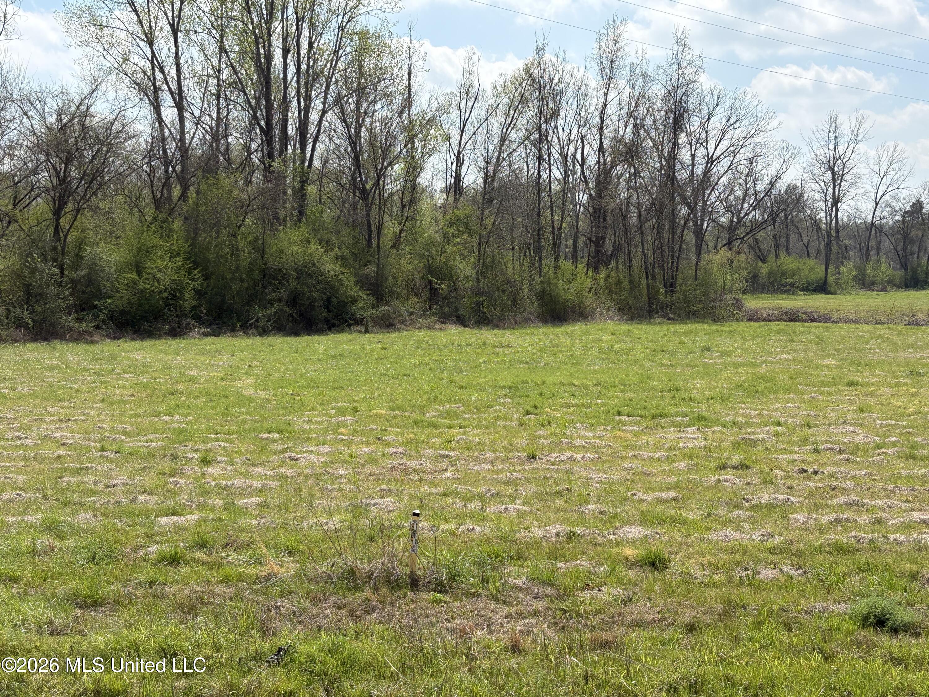 144 Henry Street Lexington, MS 39095 - Photo 9 of 11 IMG_2194