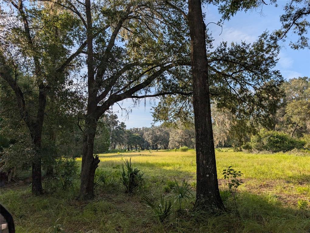 Northeast 127th Fort Fort McCoy, FL 32134 - Photo 1 of 1 a view of a yard with large trees