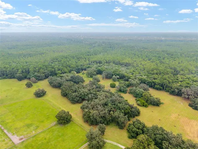 a view of a yard with an outdoor space