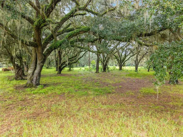 a view of field with trees