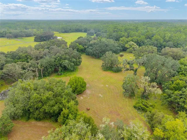 a view of a lake with a city