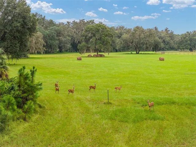 a view of a golf course with a lake