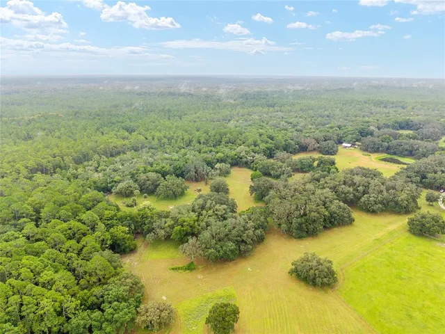 a view of a lake with a city