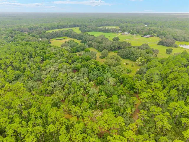 a view of a field with an ocean