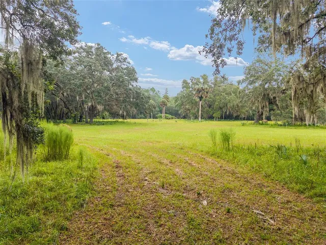 a view of a yard with a tree