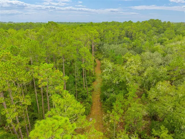 a view of a lush green outdoor space with a lake view