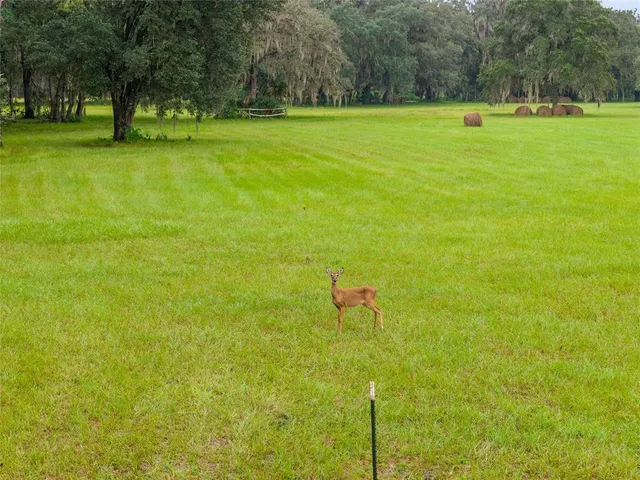 a view of outdoor space with deck and yard