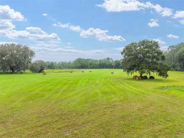 a view of yard with swimming pool and green space