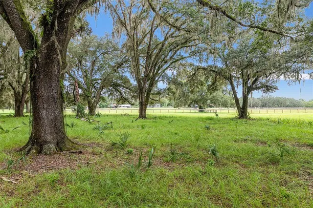 a view of outdoor space with trees all around