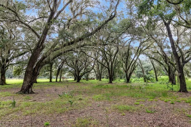 a view of outdoor space with trees
