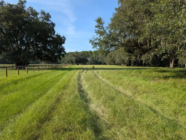 a view of a green field with trees