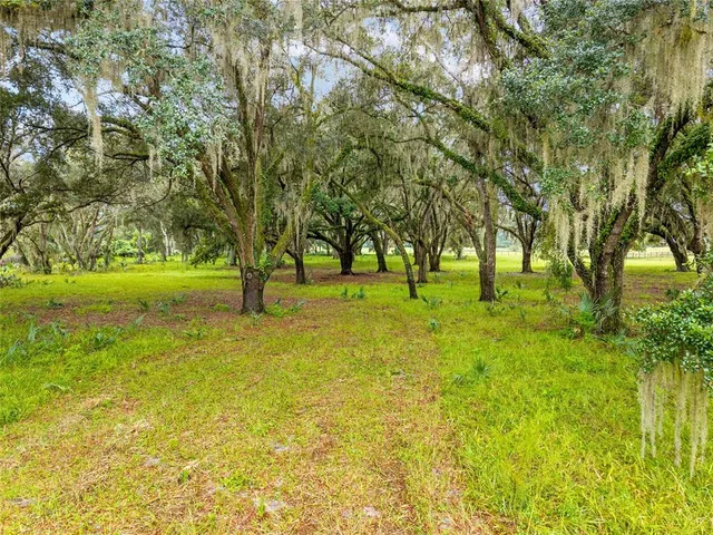 a view of grassy field with benches and trees