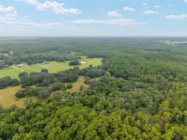 a view of a field with an ocean
