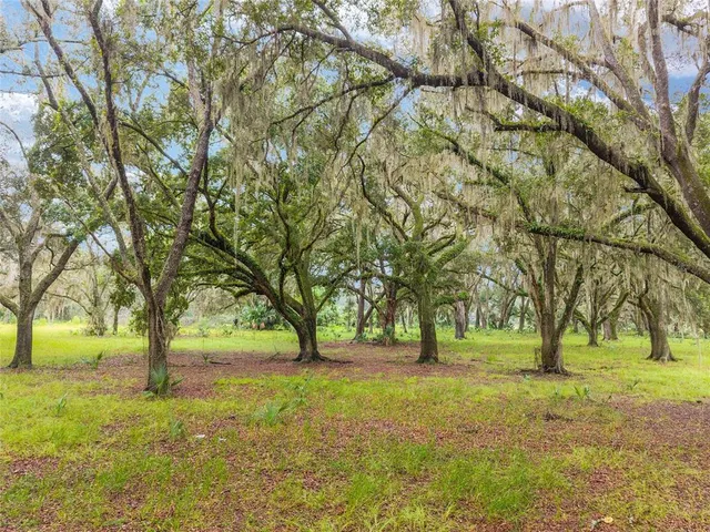 a huge green field with lots of trees