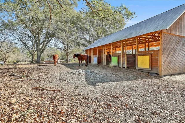 an outdoor view of backyard with large tree