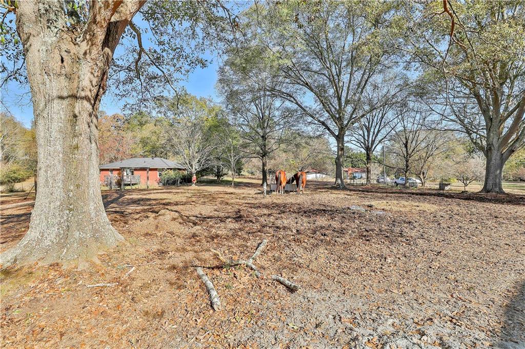 8420 Cleckler Road Palmetto, GA 30268 - Photo 30 of 51