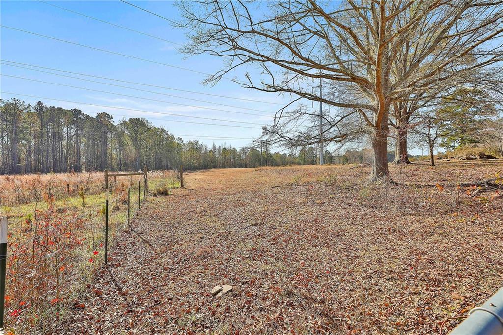 8420 Cleckler Road Palmetto, GA 30268 - Photo 39 of 51 a view of a yard with a tree