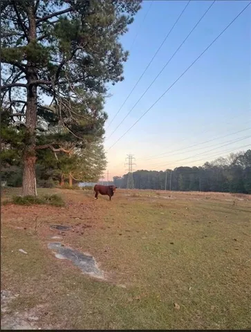 $750,000 | 8420 Cleckler Road, Palmetto, GA 30268