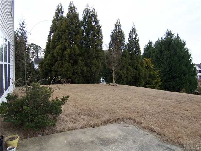 7605 Derek Drive Raleigh, NC 27613 - Photo 15 of 18 a view of large space with large trees