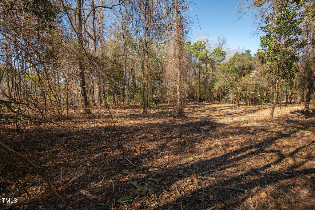 4258 Highway 301 Dunn, NC 28334 - Photo 11 of 32 US301S.Dunn.NC-8