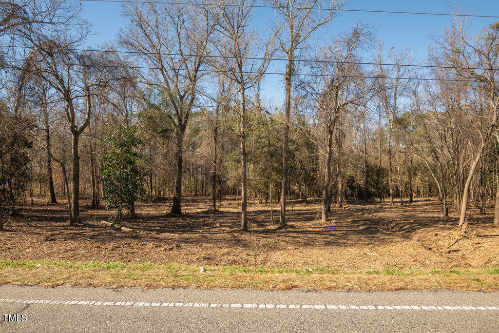 4258 Highway 301 Dunn, NC 28334 - Photo 23 of 32 US301S.Dunn.NC-19