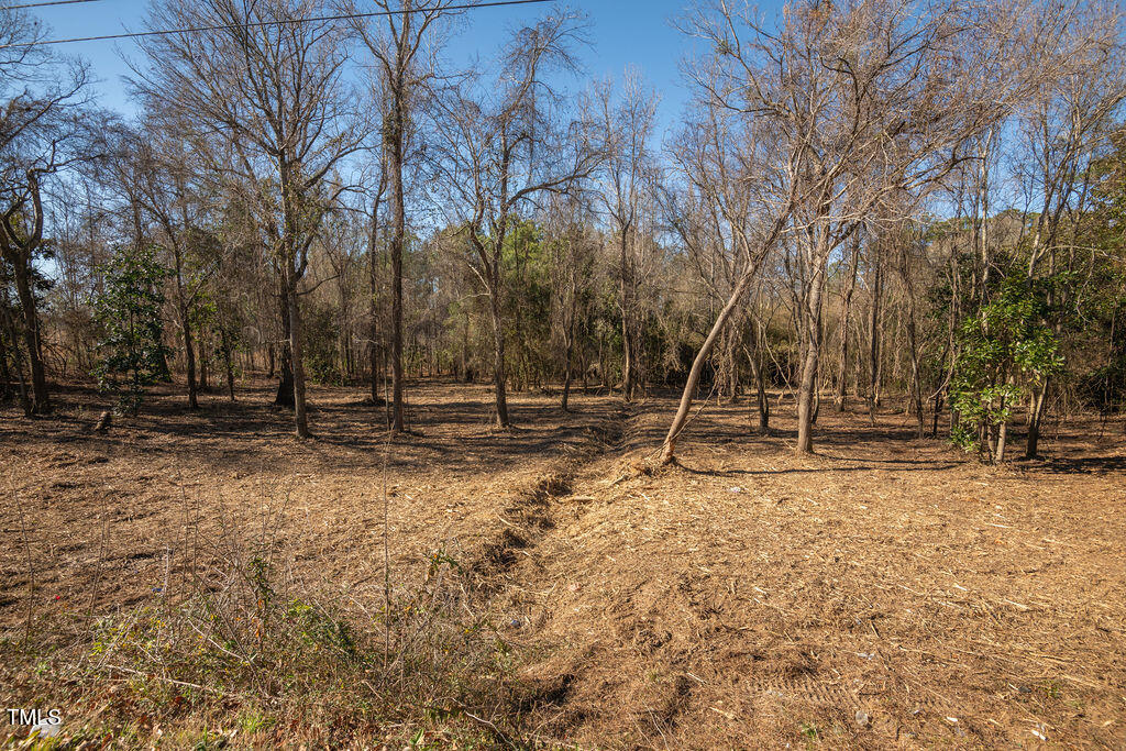 4258 Highway 301 Dunn, NC 28334 - Photo 6 of 32 US301S.Dunn.NC-3