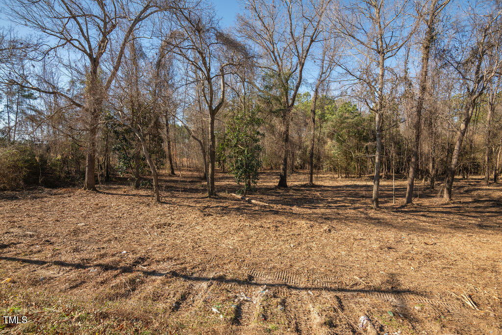 4258 Highway 301 Dunn, NC 28334 - Photo 7 of 32 US301S.Dunn.NC-4
